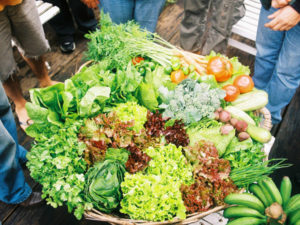 Alimentação e Biodiversidade