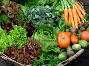 Agricultura e Agroecologia na cidade de São Paulo